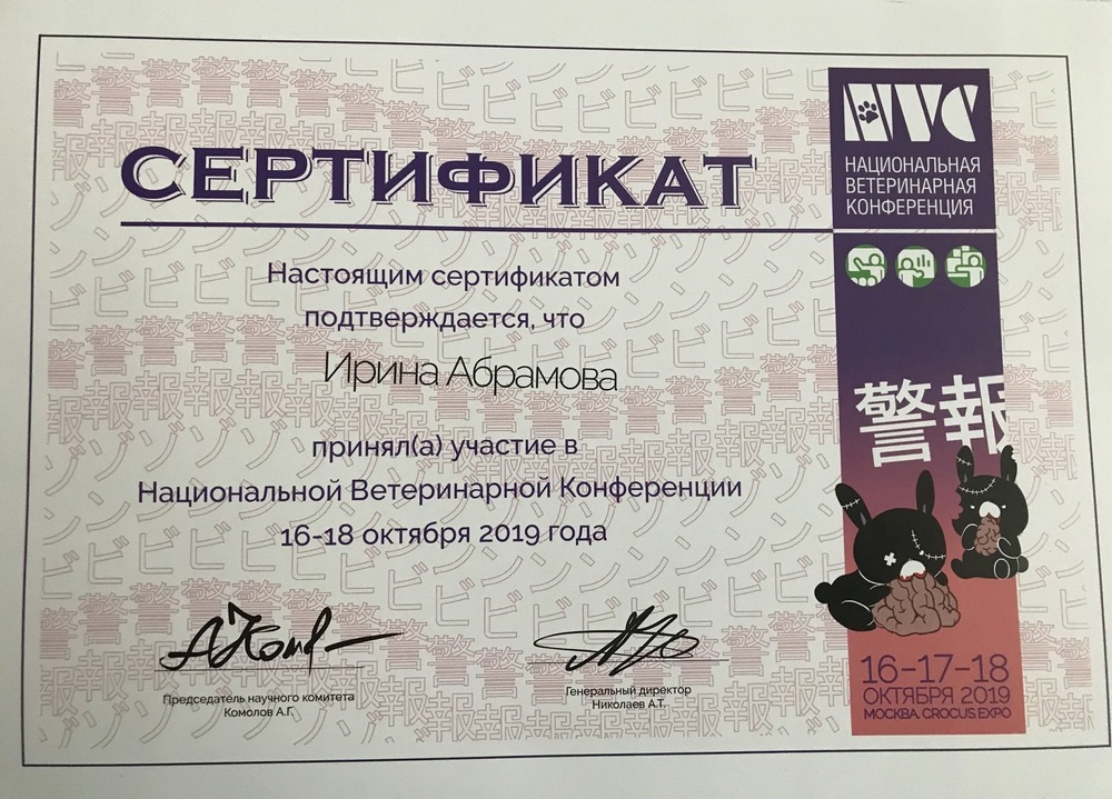 Certificate Abramova IV 12