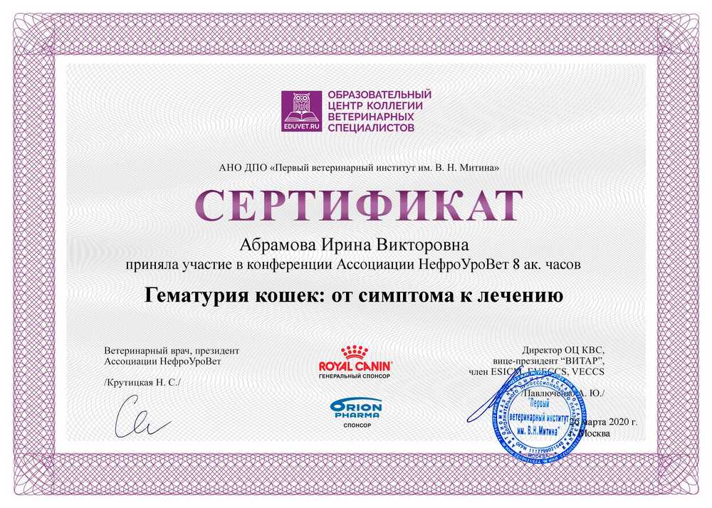Certificate Abramova IV 7