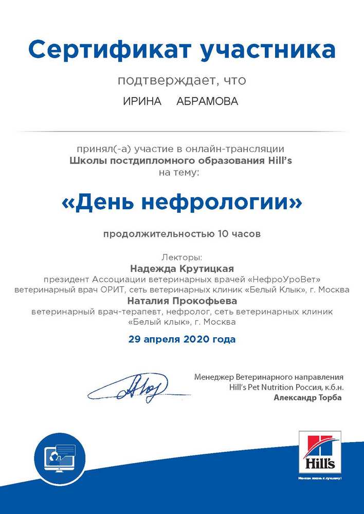 Certificate Abramova IV 19