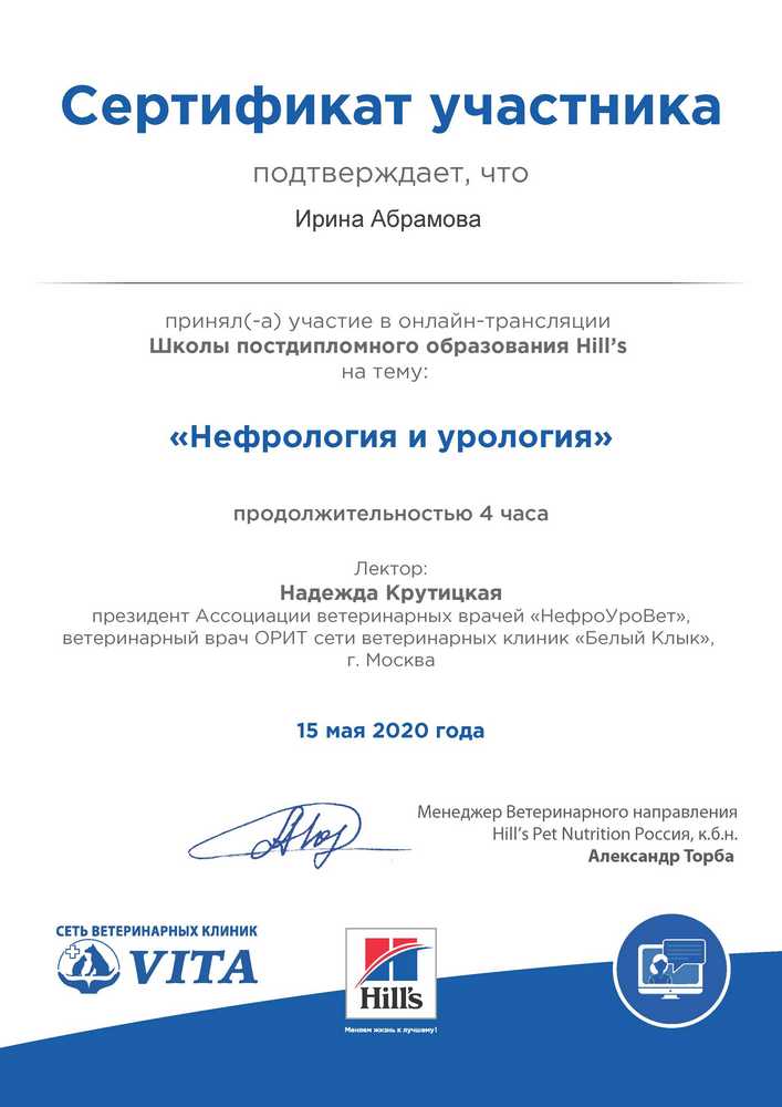 Certificate Abramova IV 20