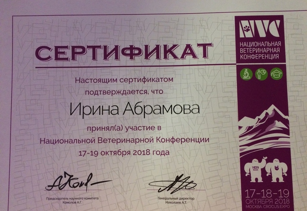 Certificate Abramova IV 1