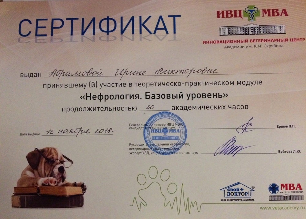 Certificate Abramova IV 2