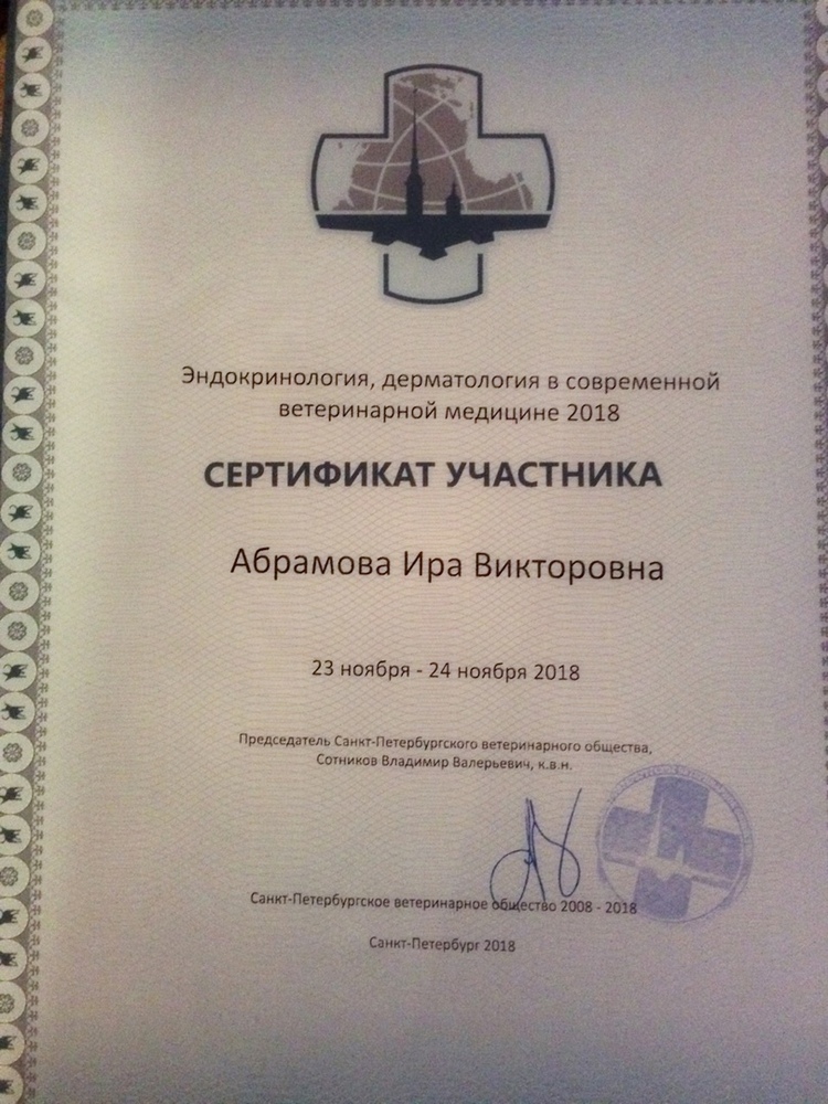 Certificate Abramova IV 3