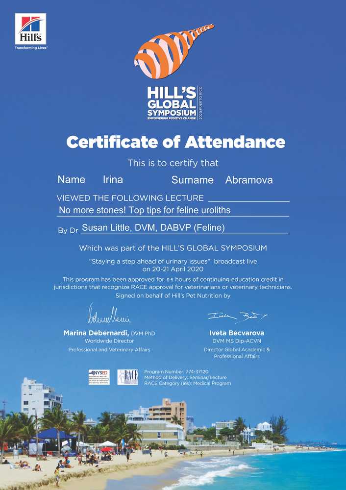 Certificate Abramova IV 17